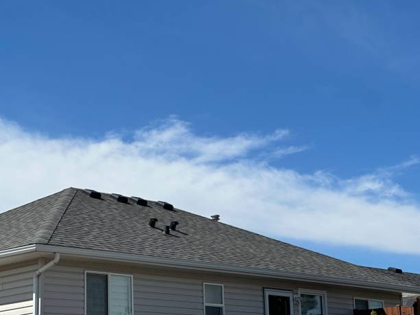 Best Slate Roofing  in Ellicott City, MD
